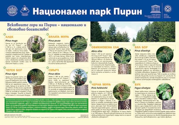 Табло - горите в Национален парк Пирин