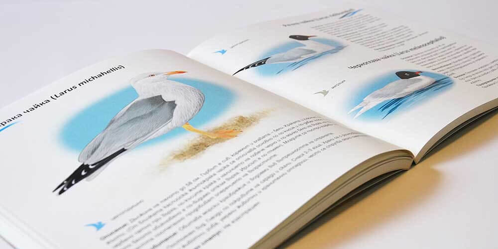 Книга за птиците в ПП Персина