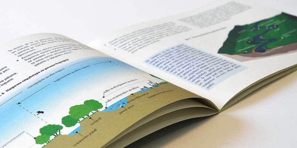 Брошура за опазване и възстановяване на влажните зони, ВВФ