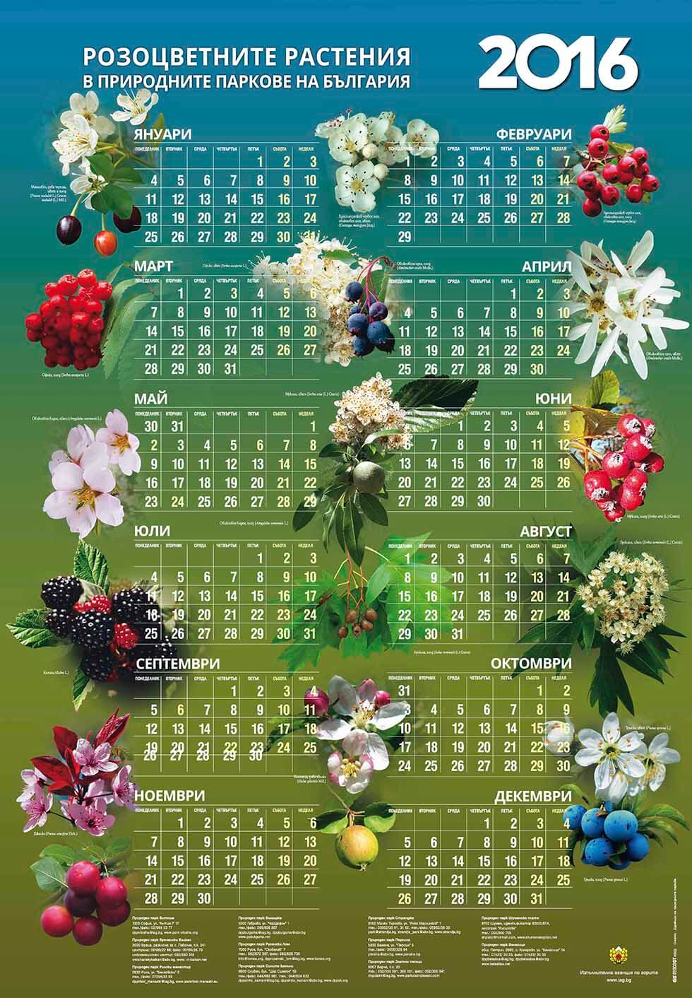 Календар на Природните паркове в България