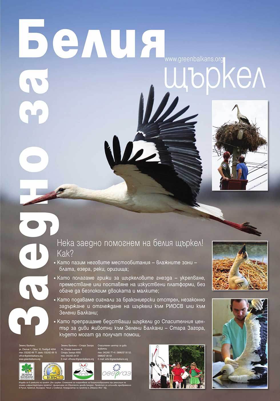 Плакат за белия щъркел на Зелени Балкани